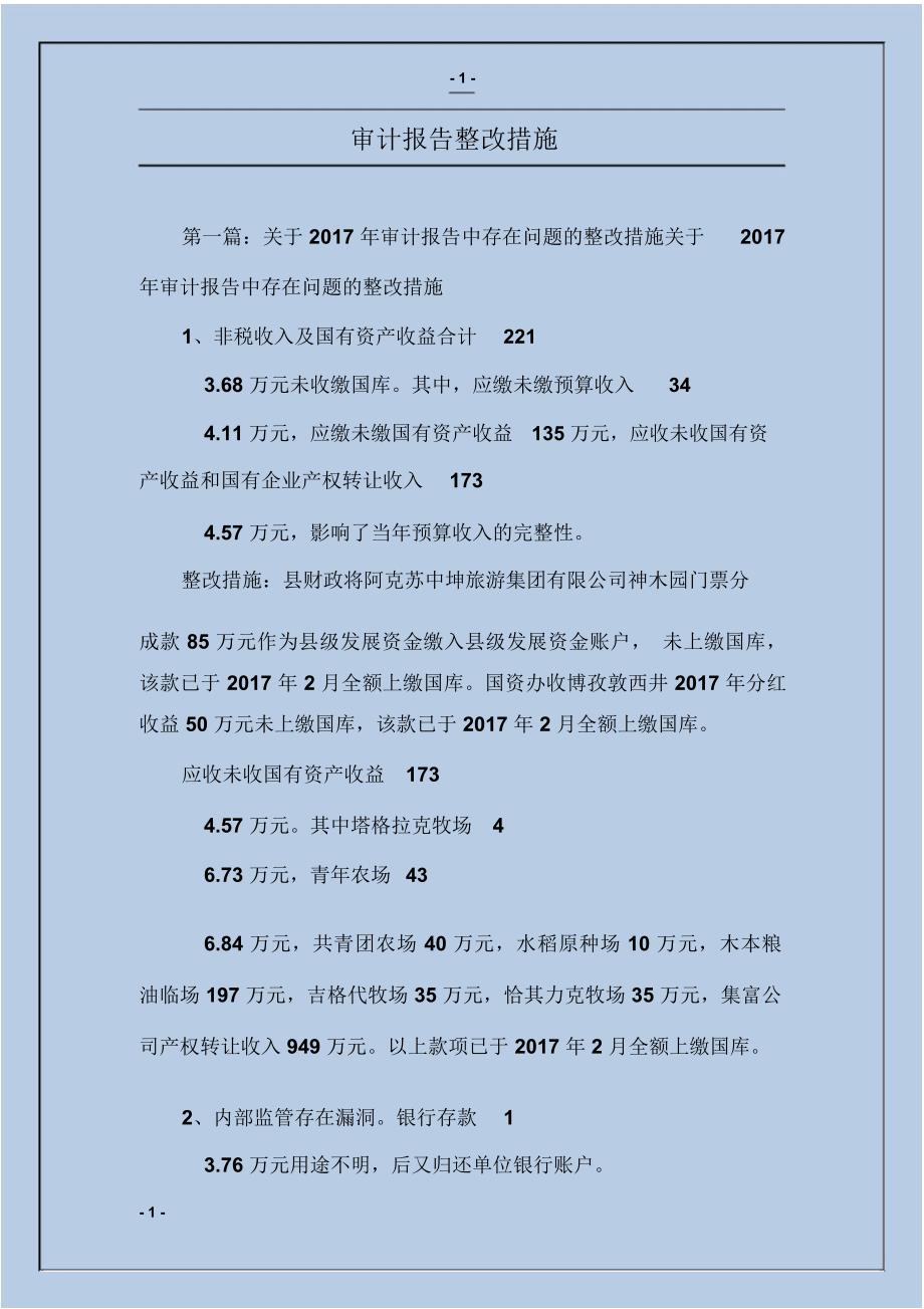 审计报告整改措施_第1页