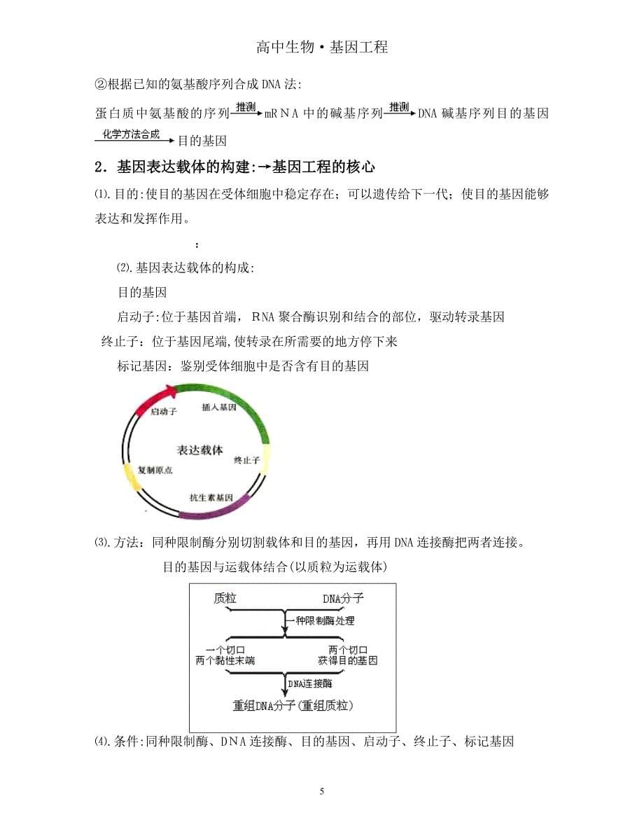 高中生物专题一基因工程详细知识点人教版选修3试卷教案.doc_第5页