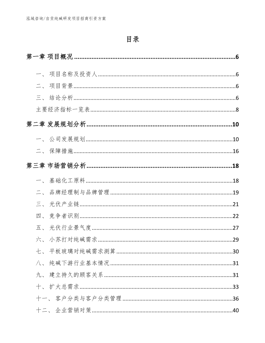 自贡纯碱研发项目招商引资方案【模板范文】_第2页