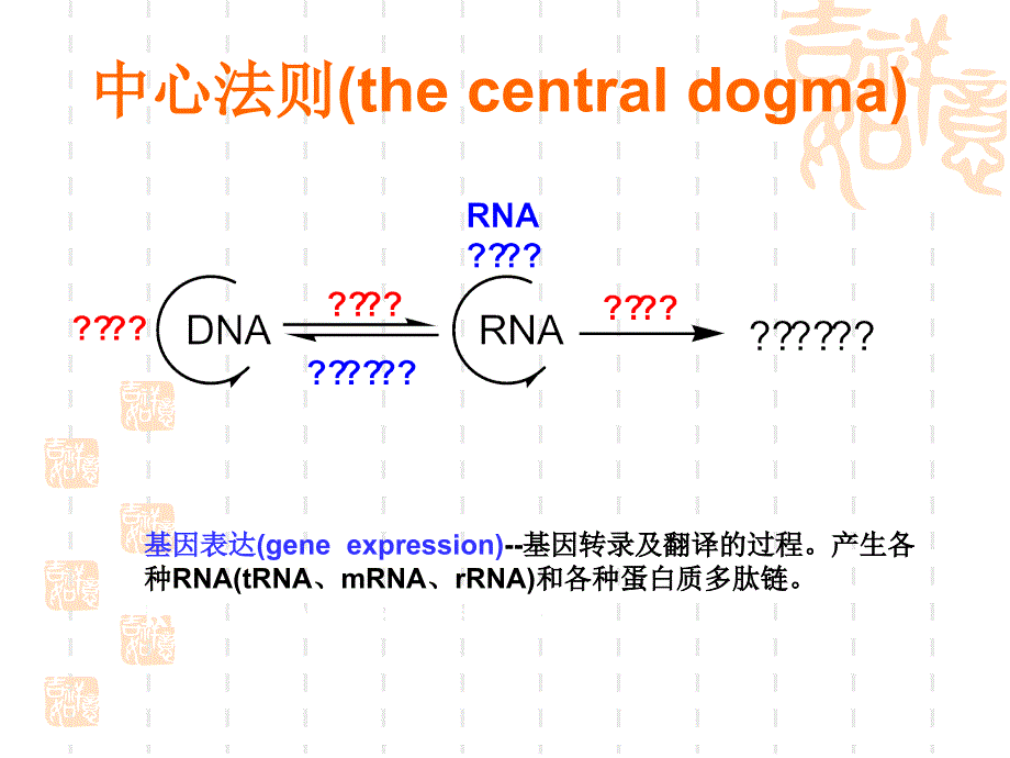 IPTG诱导原理_第2页