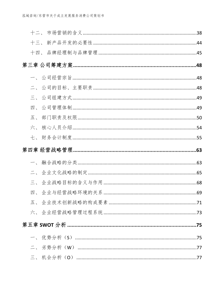 东营市关于成立发展服务消费公司策划书范文参考_第3页