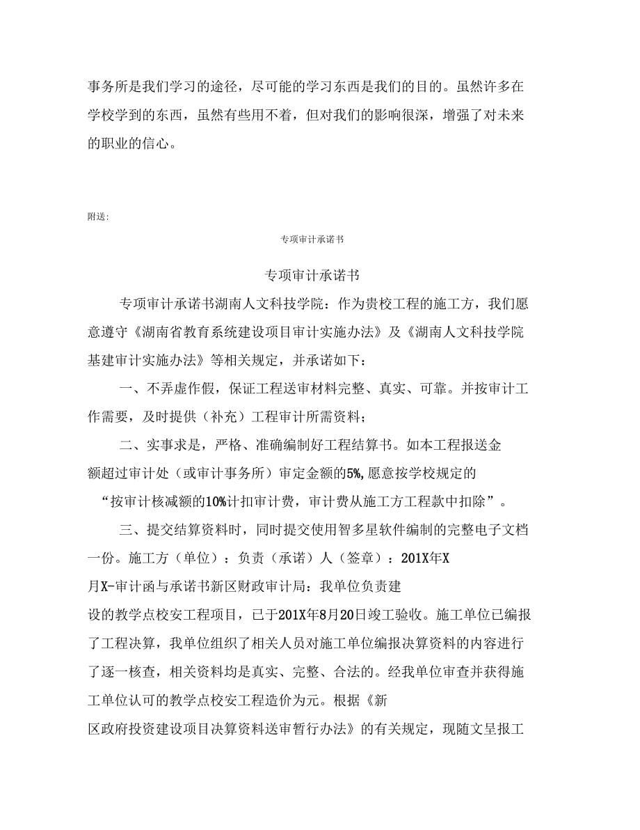 专项审计实习报告_第5页