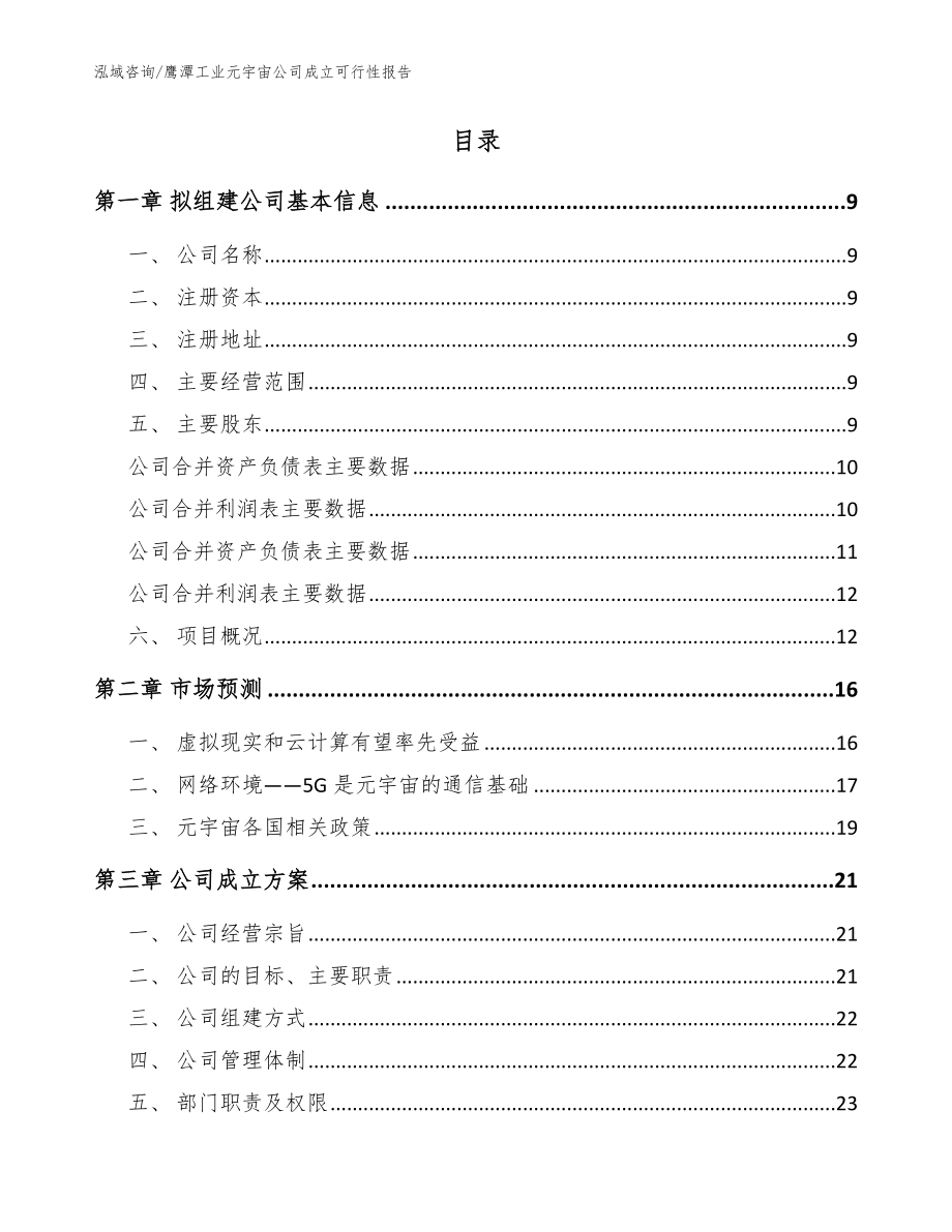 鹰潭工业元宇宙公司成立可行性报告_模板参考_第2页