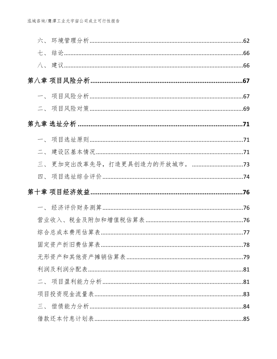 鹰潭工业元宇宙公司成立可行性报告_模板参考_第4页