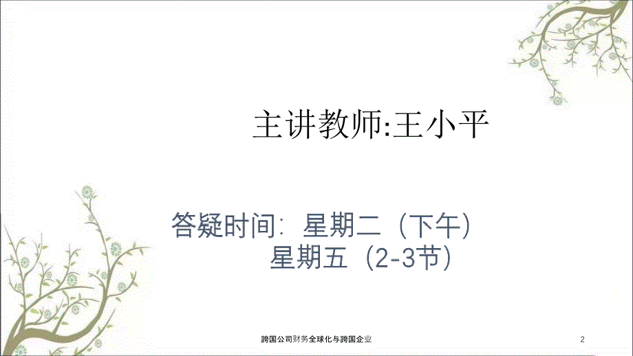 跨国公司财务全球化与跨国企业课件_第2页