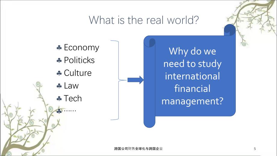 跨国公司财务全球化与跨国企业课件_第5页