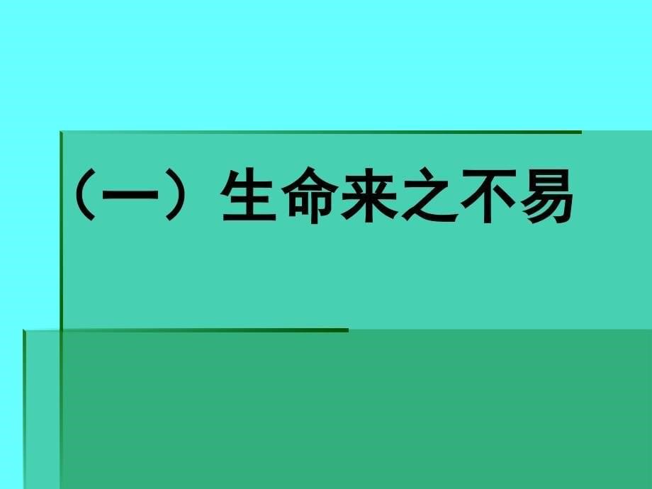 珍爱生命--健康成长主题班会课件3_第5页