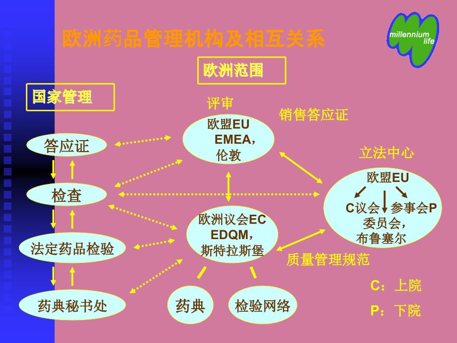 欧洲药品管理程序介绍ppt课件_第2页