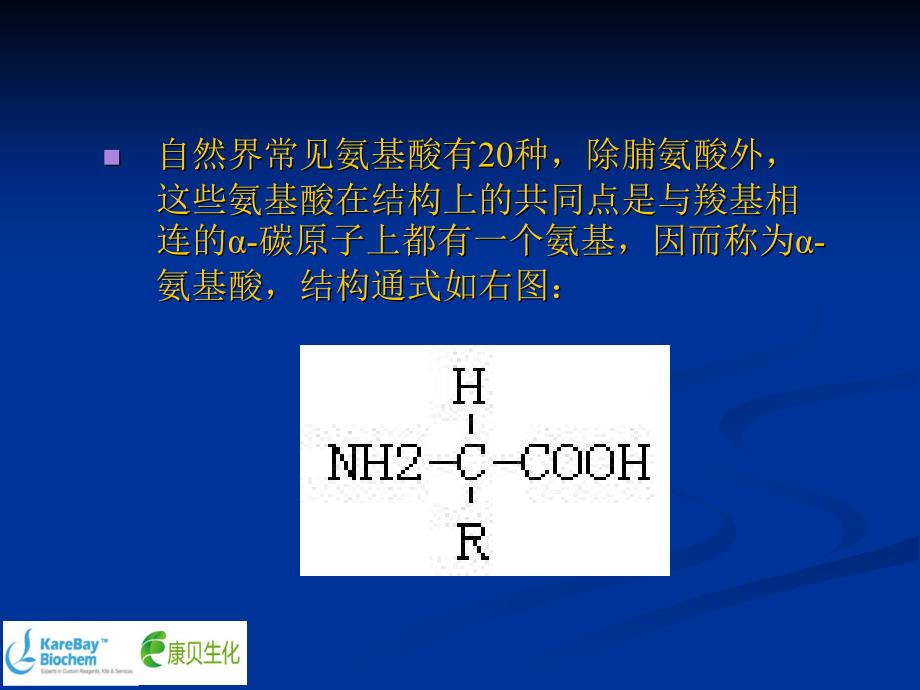 氨基酸基础知识培训_第2页