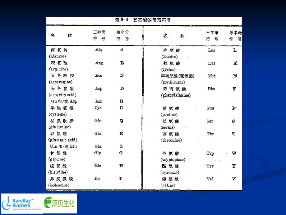 氨基酸基础知识培训_第3页