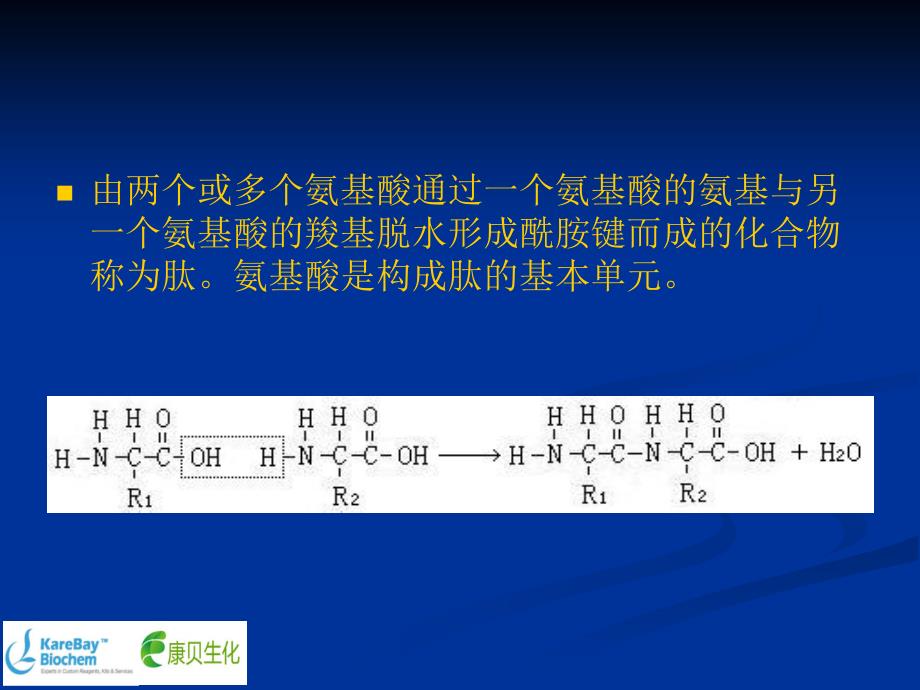 氨基酸基础知识培训_第4页