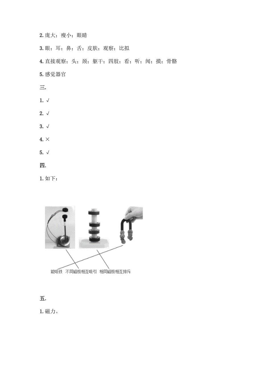 二年级下册科学期末测试卷及参考答案(精练).docx_第5页