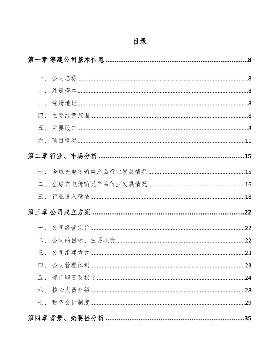 厦门关于成立消费电子产品公司可行性报告_第2页