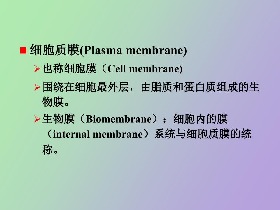 细胞质膜与物质的跨膜运输_第2页