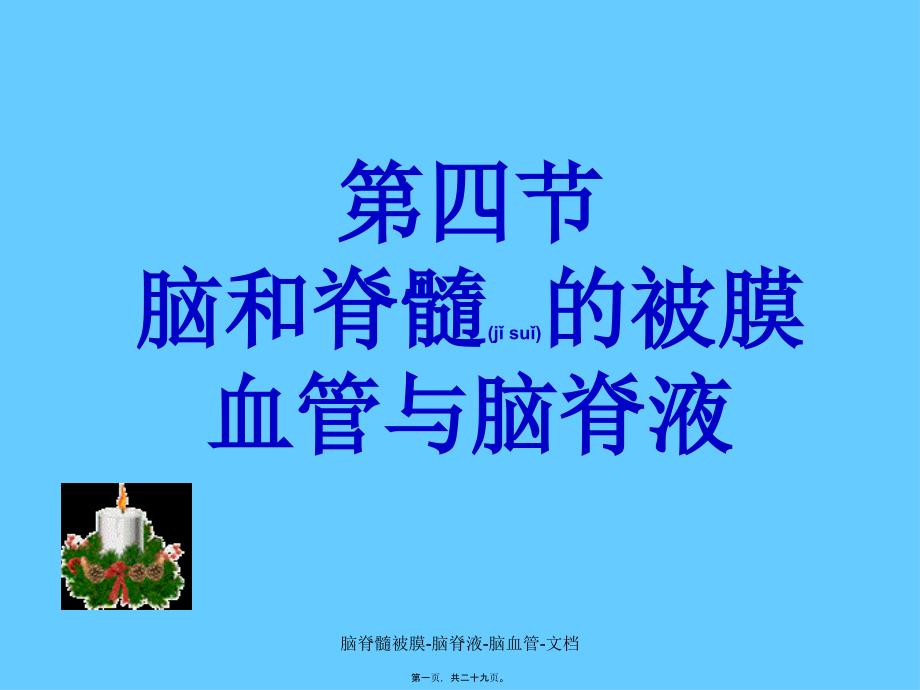 脑脊髓被膜脑脊液脑血管文档课件_第1页