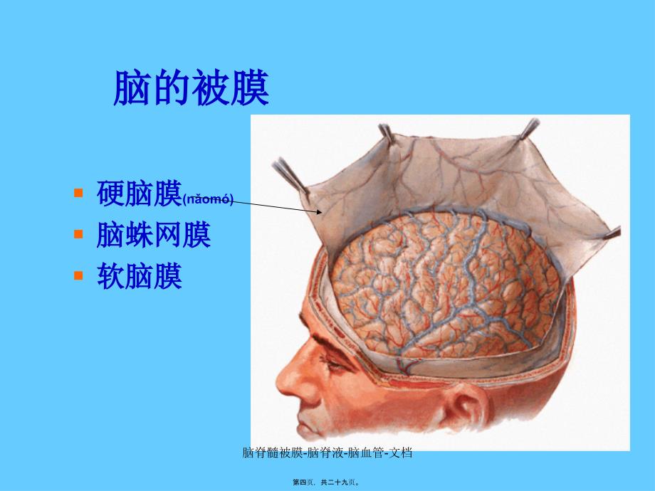 脑脊髓被膜脑脊液脑血管文档课件_第4页