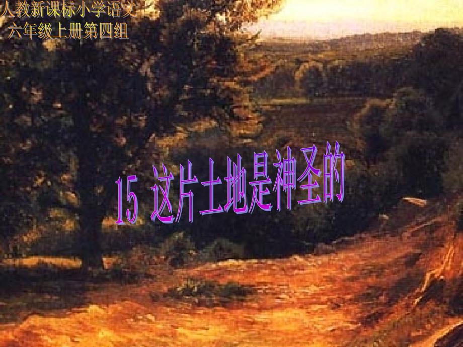 15_课《这片土地是神圣的》课件_第1页