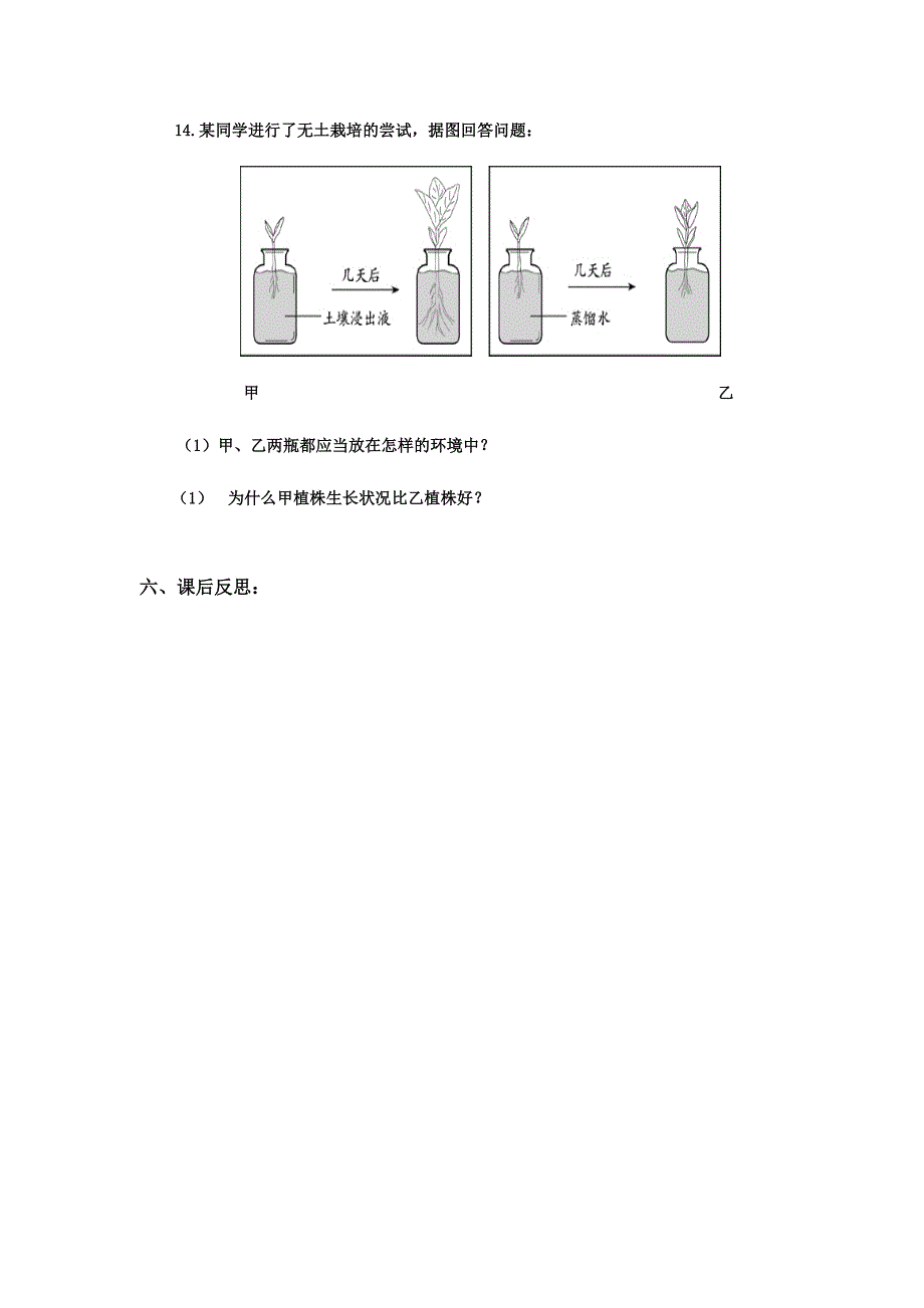 322第二节植株的生长.doc_第3页