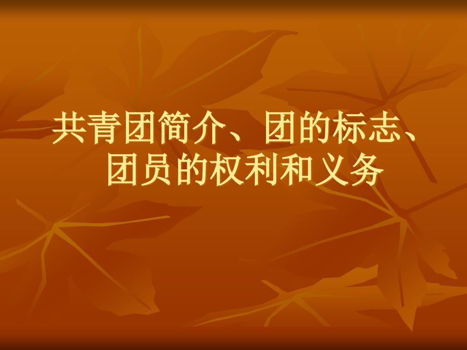 共青团简介、团的标志、团员的权利和义务分析_第2页