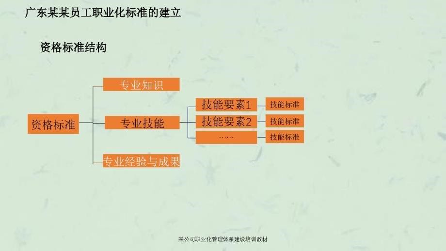 某公司职业化管理体系建设培训教材_第5页