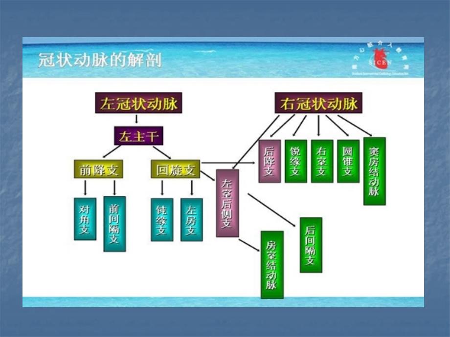 冠状动脉硬化性心脏病_第4页