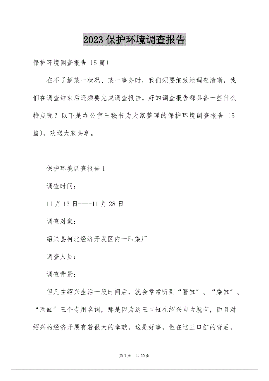 2023年保护环境调查报告.docx_第1页