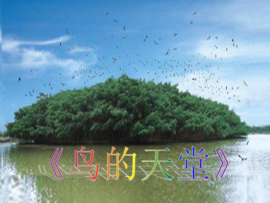 《鸟的天堂》_第1页