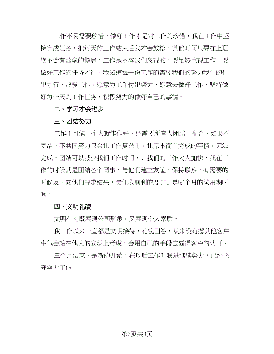 行政人员试用期工作总结格式版（二篇）.doc_第3页