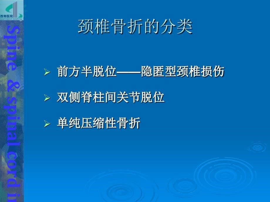 脊柱和脊髓损伤PPT课件_第5页