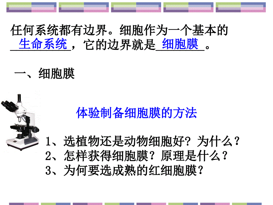 复习3细胞的基本结构y.ppt_第3页