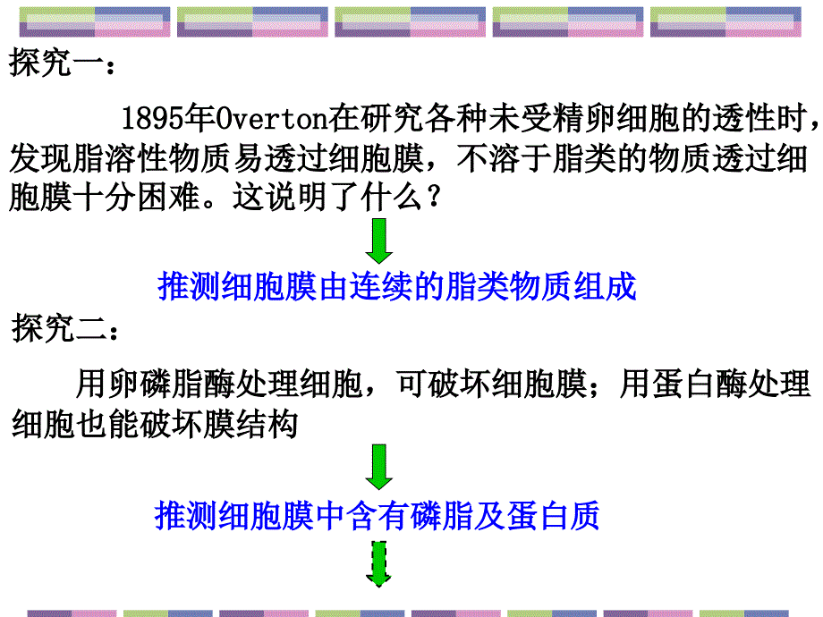 复习3细胞的基本结构y.ppt_第4页