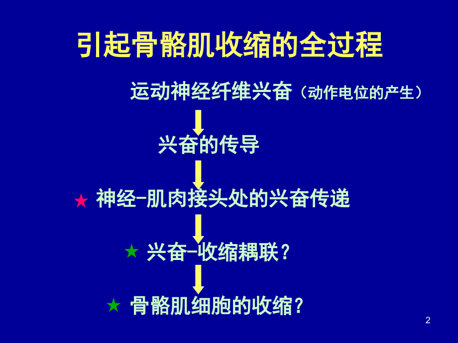 骨骼肌生理ppt课件_第2页