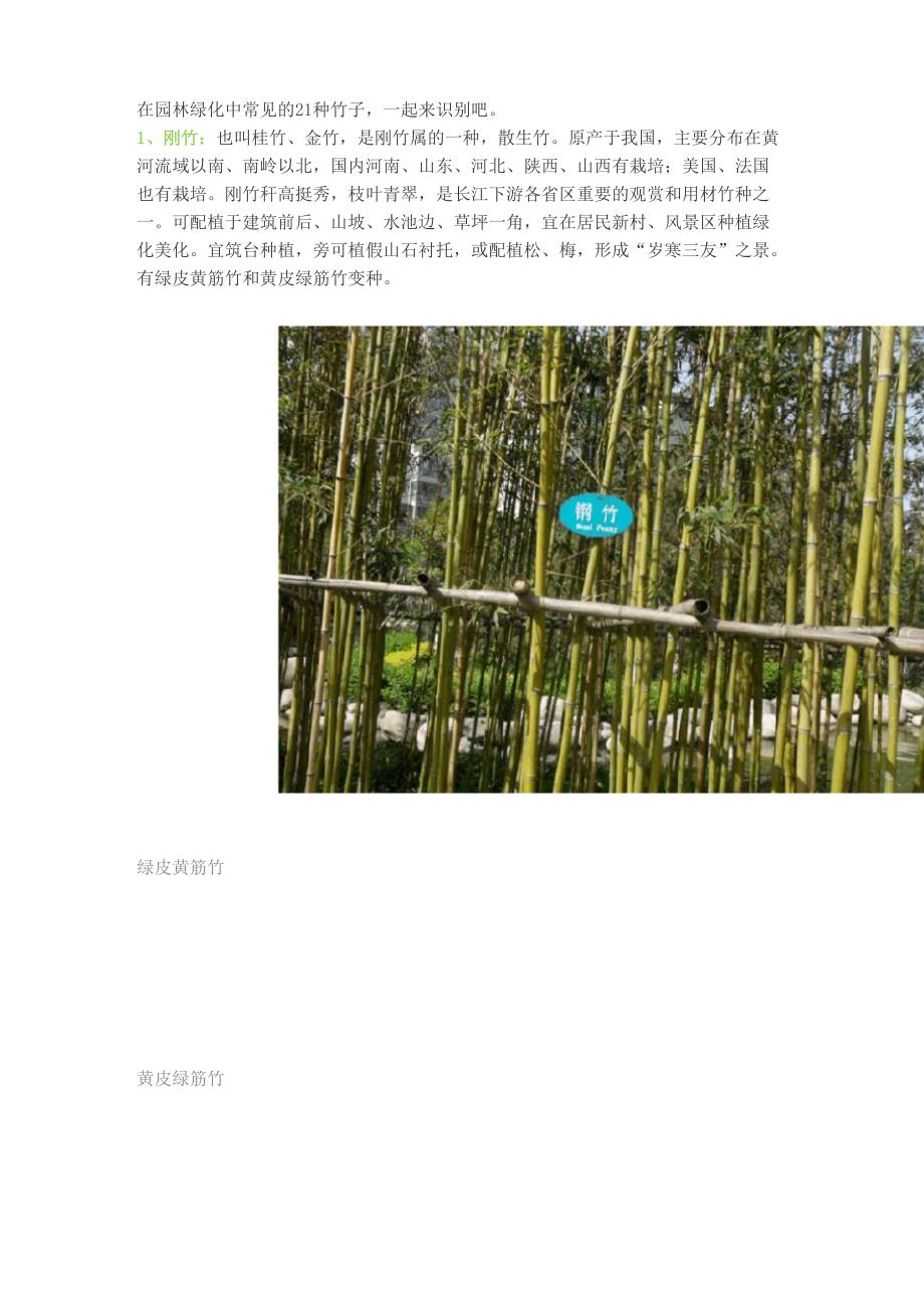 在园林绿化中常见的21种竹子_第1页