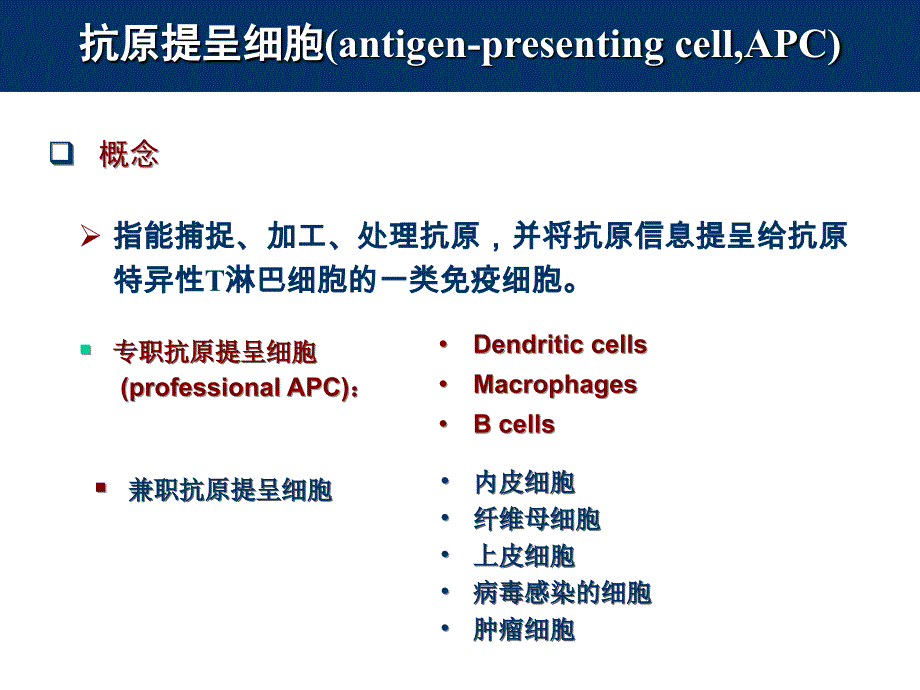11抗原提呈细胞与抗原的处理及提呈_第2页