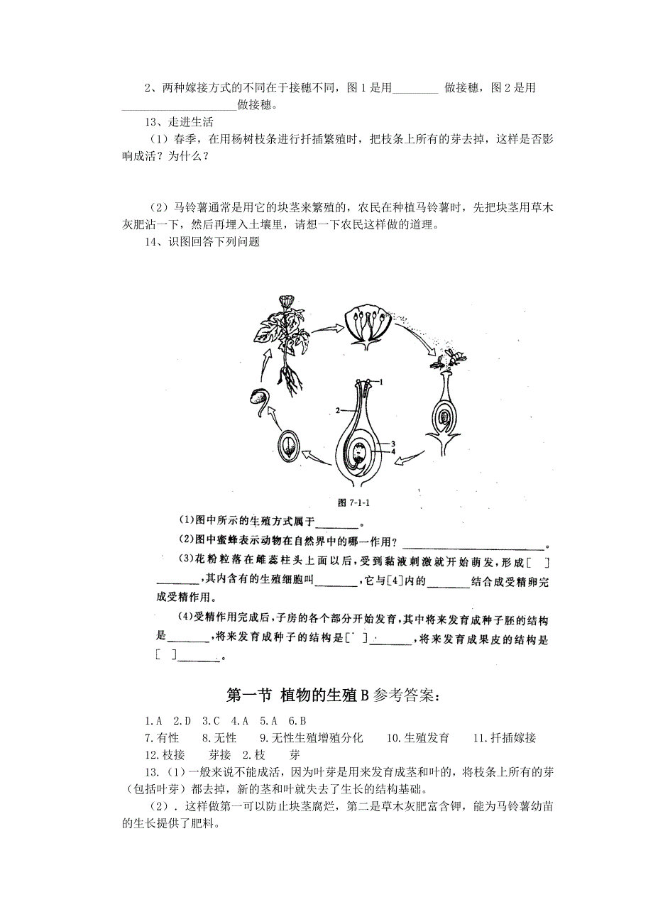 人教版初中生物八年级下册学案及课堂同步练习试题　全册B_第3页