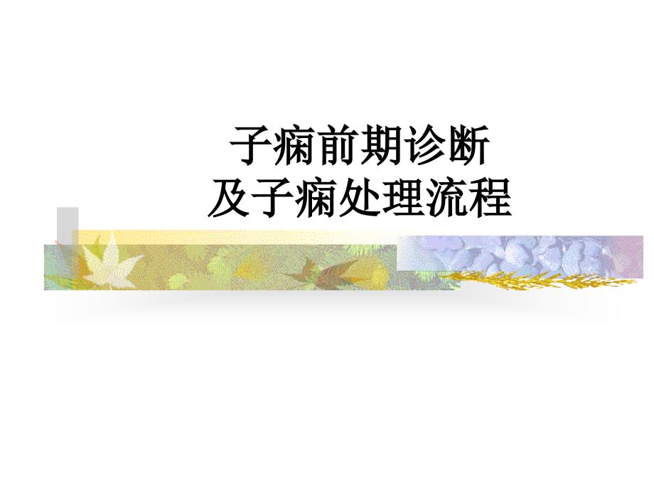 子痫前期诊断及子痫处理_第1页