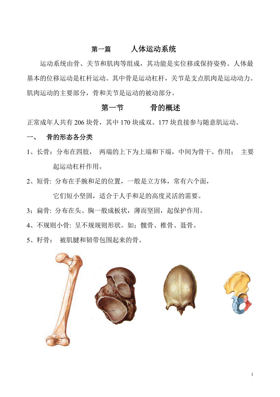 人体运动系统.doc_第1页