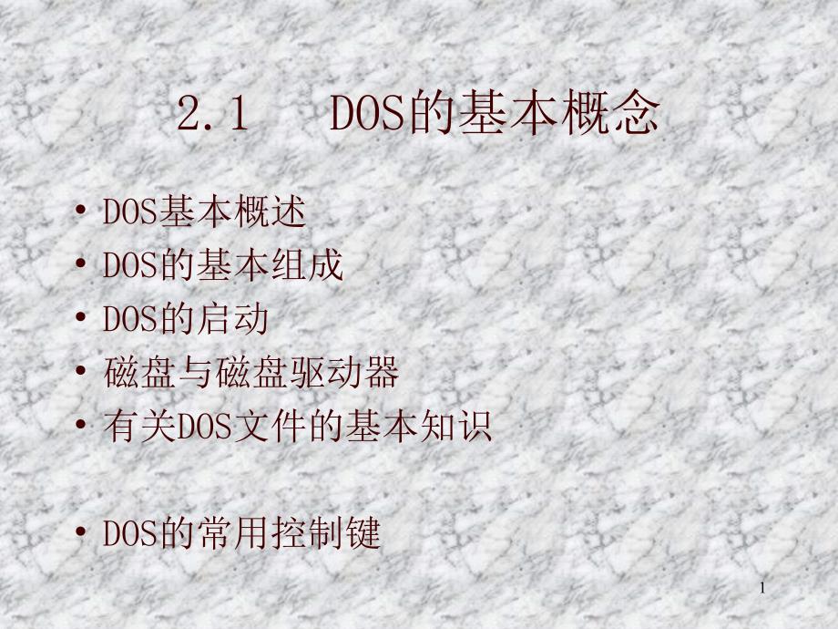 DOS的基本概念1_第1页