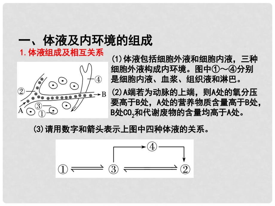 高中生物 第一章 人体的内环境与稳态复习与测试课件（提升版）新人教版必修3_第1页