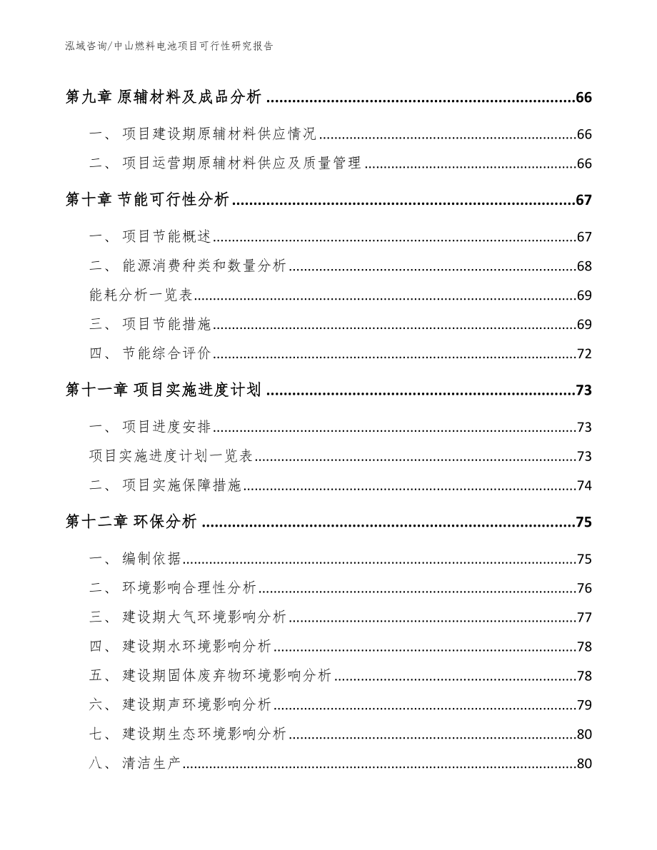 中山燃料电池项目可行性研究报告_第4页