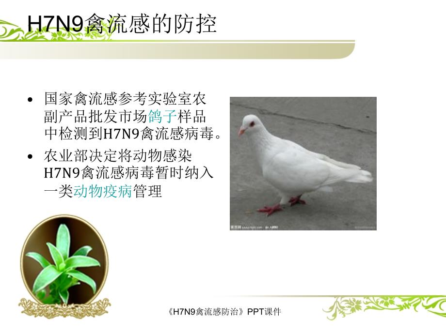 H7N9禽流感防治课件_第4页