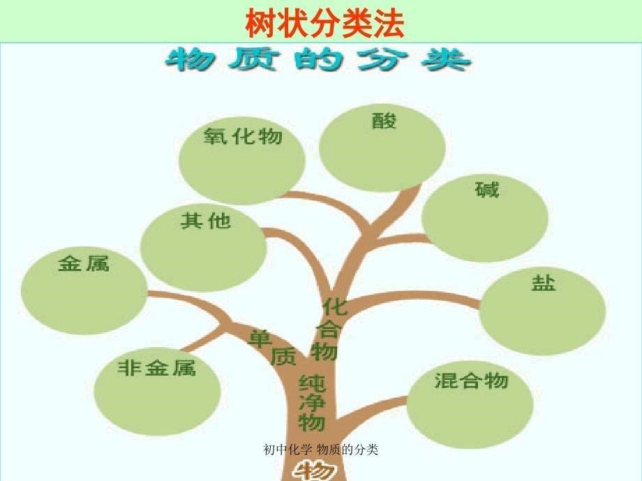 初中化学物质的分类精品_第5页