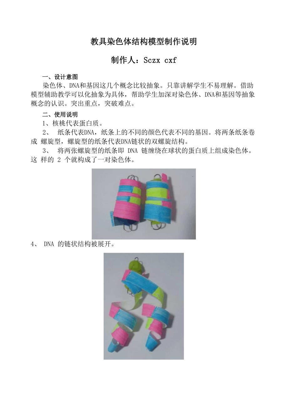 染色体结构模型制作_第1页