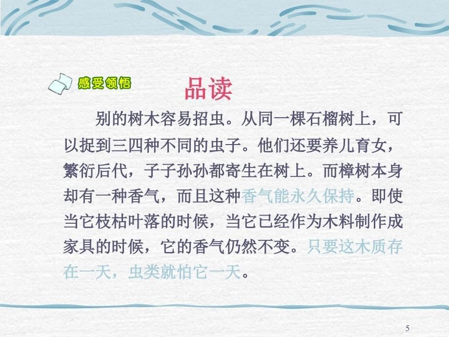 宋庆龄故居的樟树（苏教版四年级下册）PPT课件_第5页