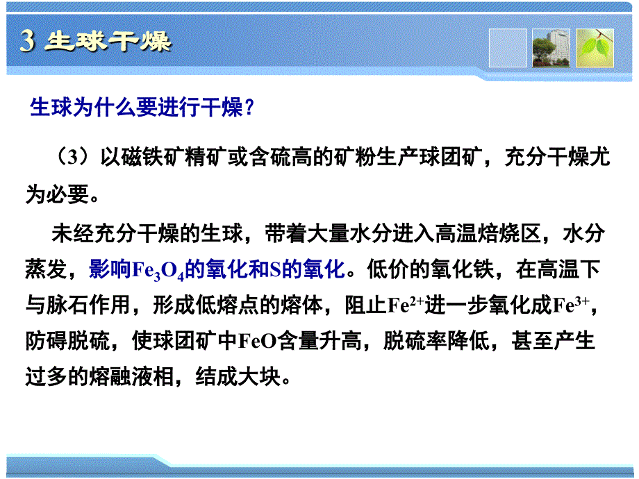 球团理论与工艺3生球干燥_第3页