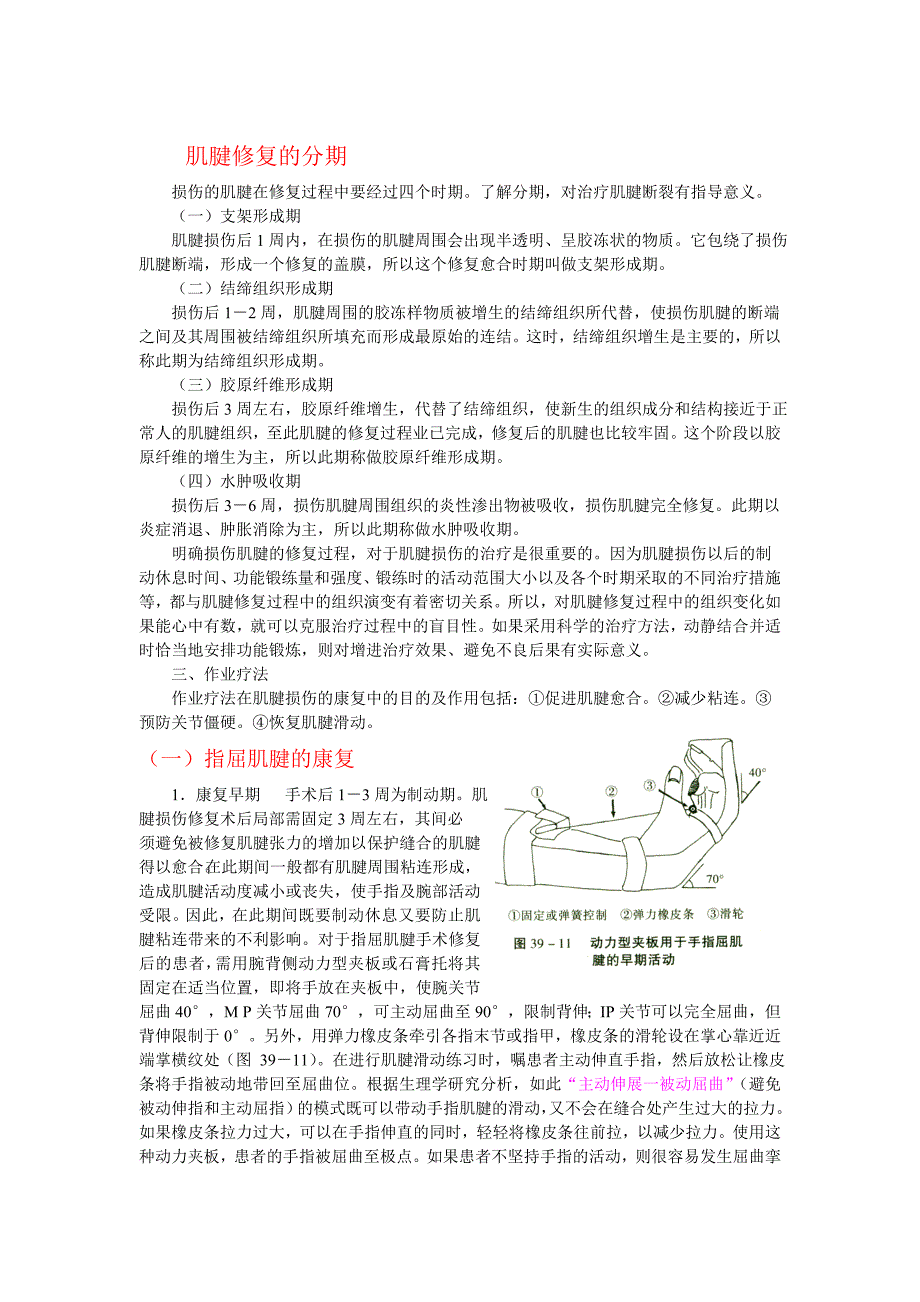 肌腱康复时机.doc_第1页