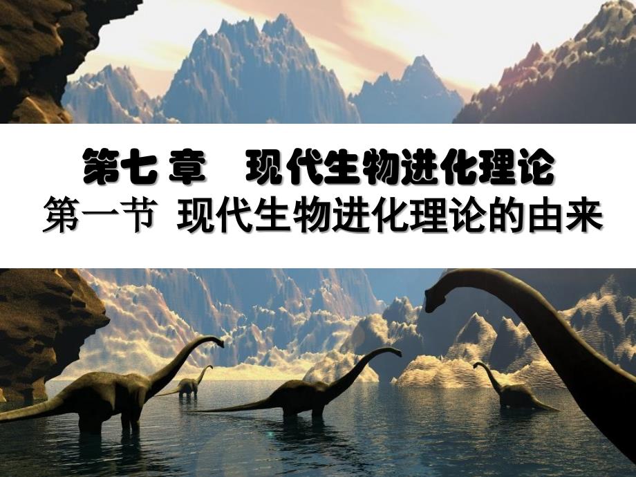 现代生物进化理论的由来2_第3页