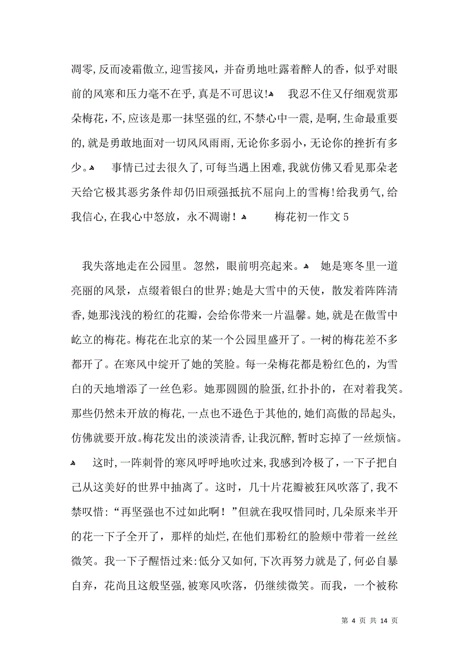 梅花初一作文_第4页