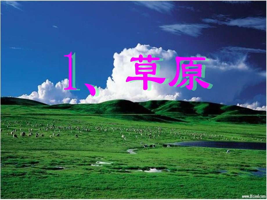 北师大四上草原PPT课件_第1页