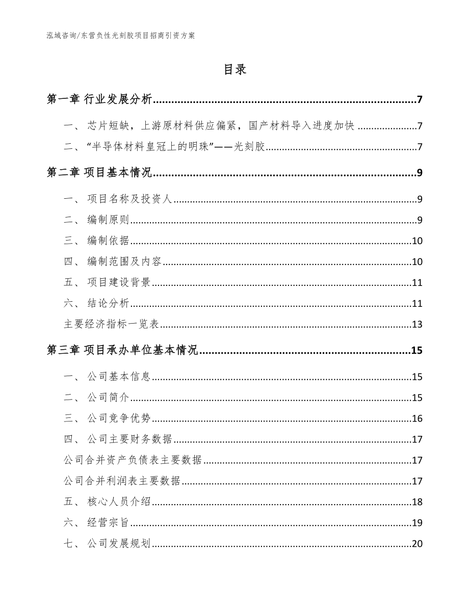 东营负性光刻胶项目招商引资方案_第2页